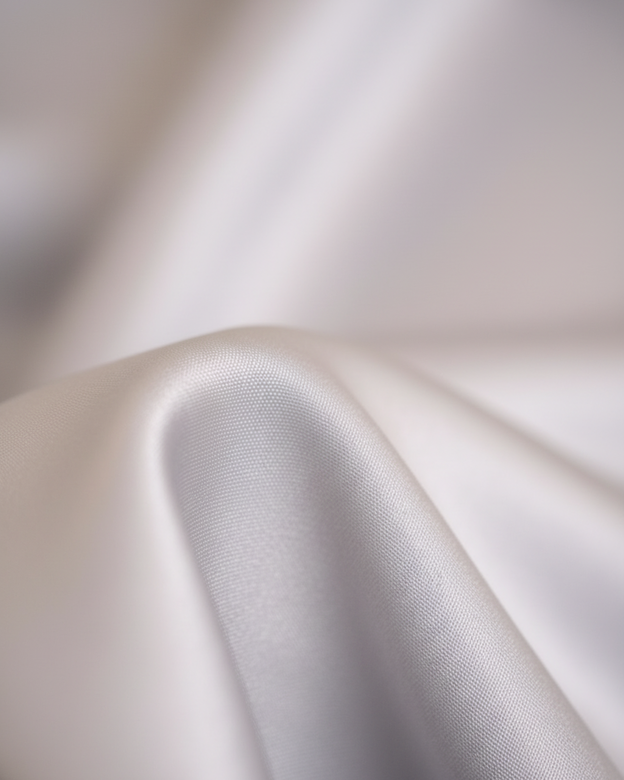 Oyster Gray